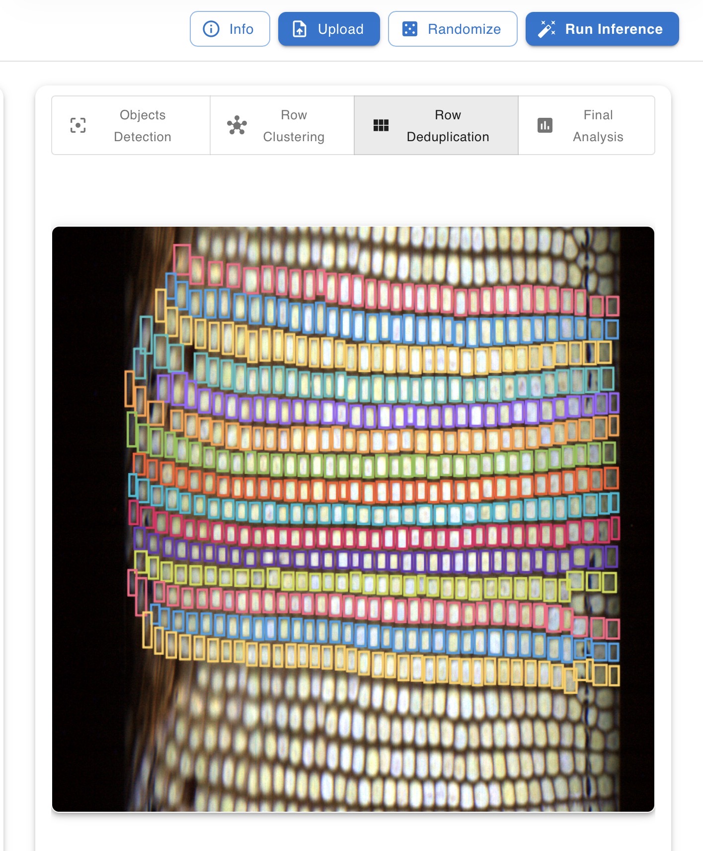 Corn Ear Phenotyping